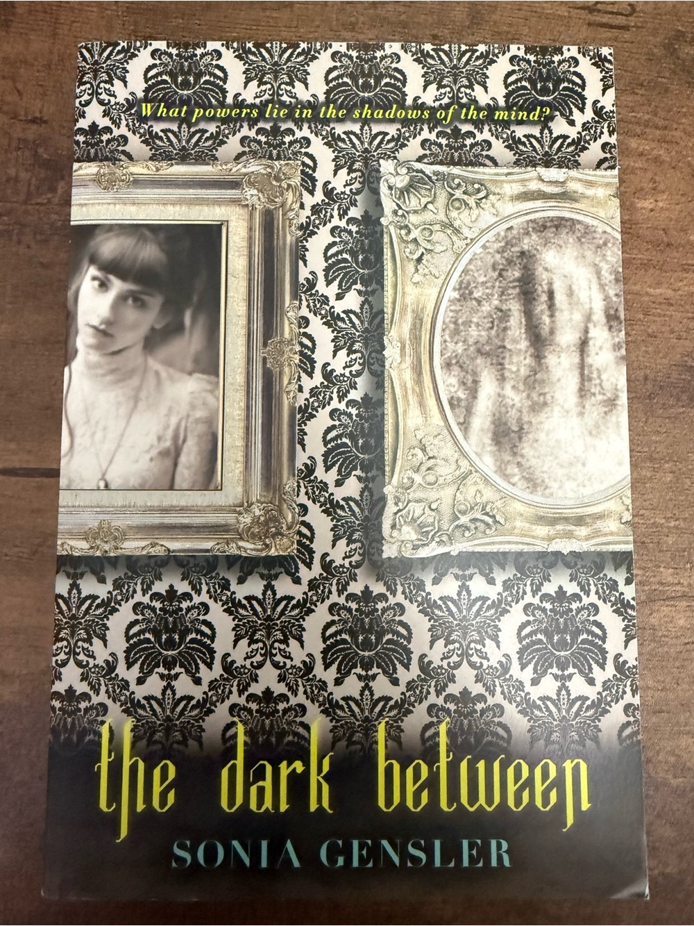 💚4/$20 The Dark Between by Sonia Gensler - Paperback Novel
